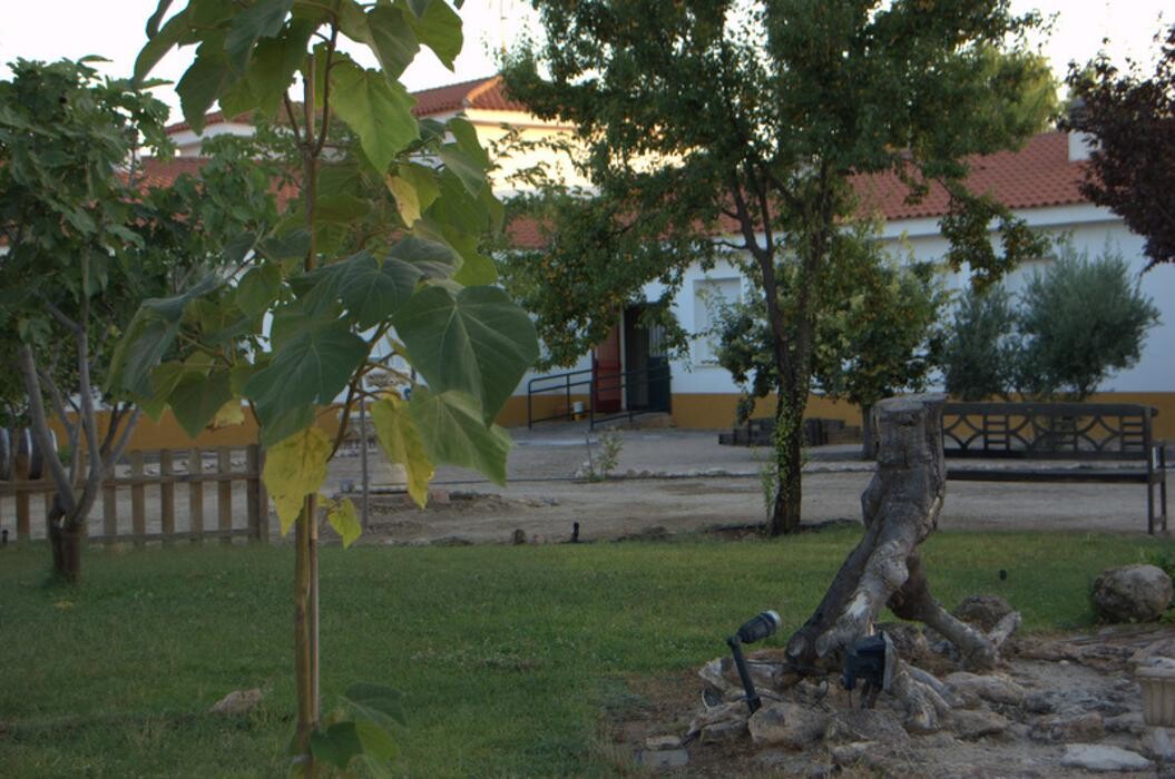 Images Residencia Hotel para Mayores Virgen del Socorro