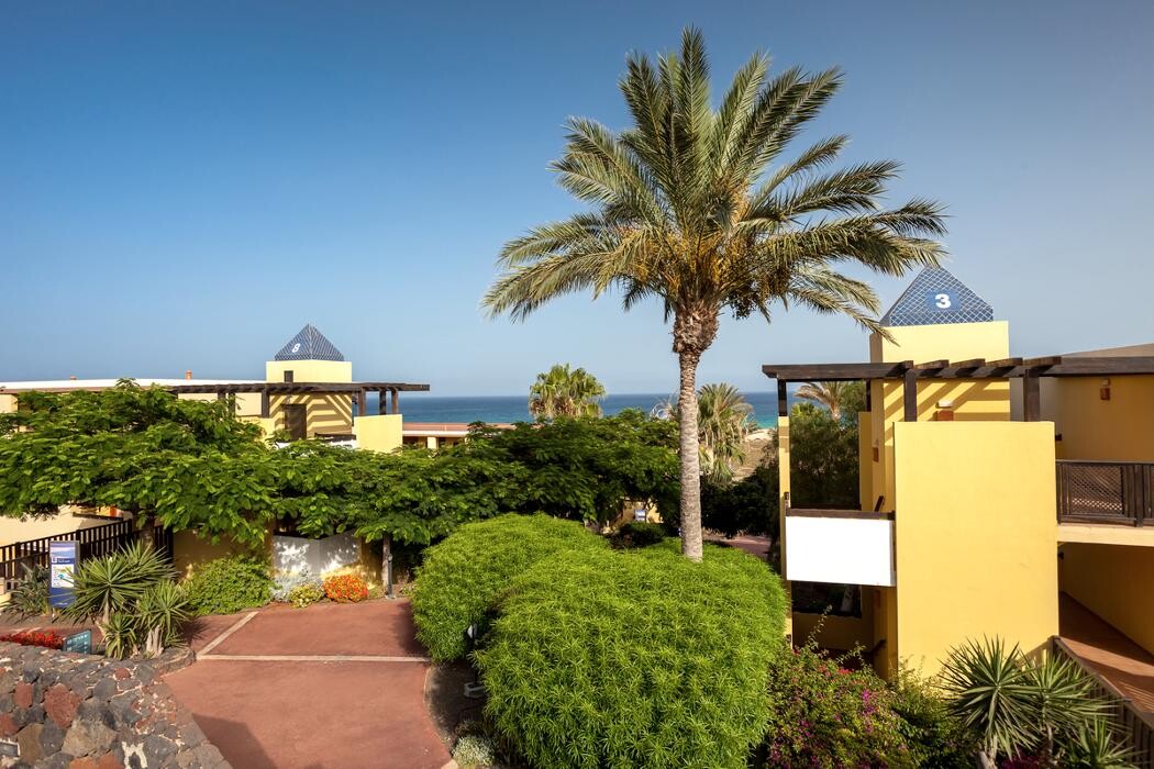 Images Occidental Jandía Playa