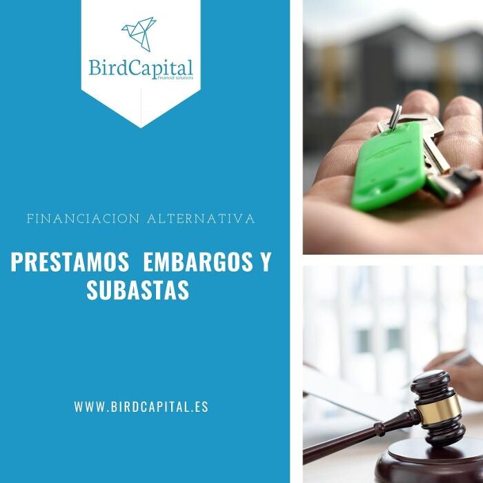 Images Birdcapital. Préstamos Capital Privado