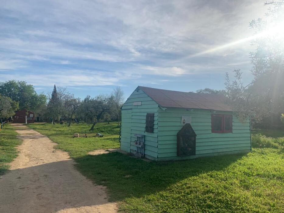 Images Bosque Escuela Cuna Espartinas