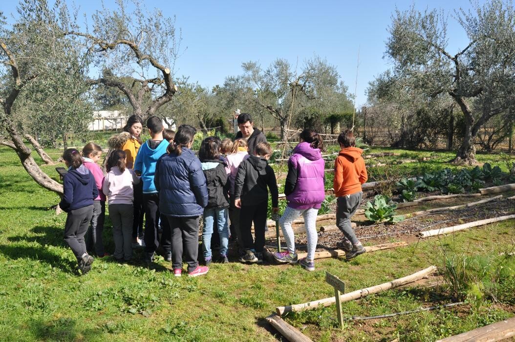 Images Bosque Escuela Cuna Espartinas