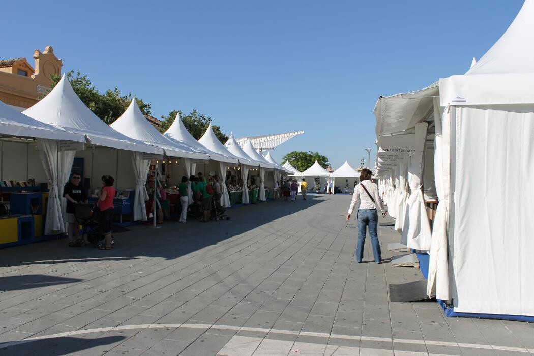 Images NOU Espectaclaes i Esdeveniments