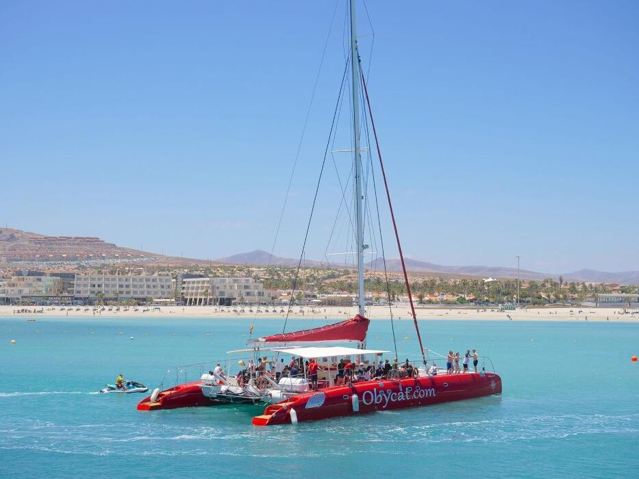 Images OBYCAT Experience