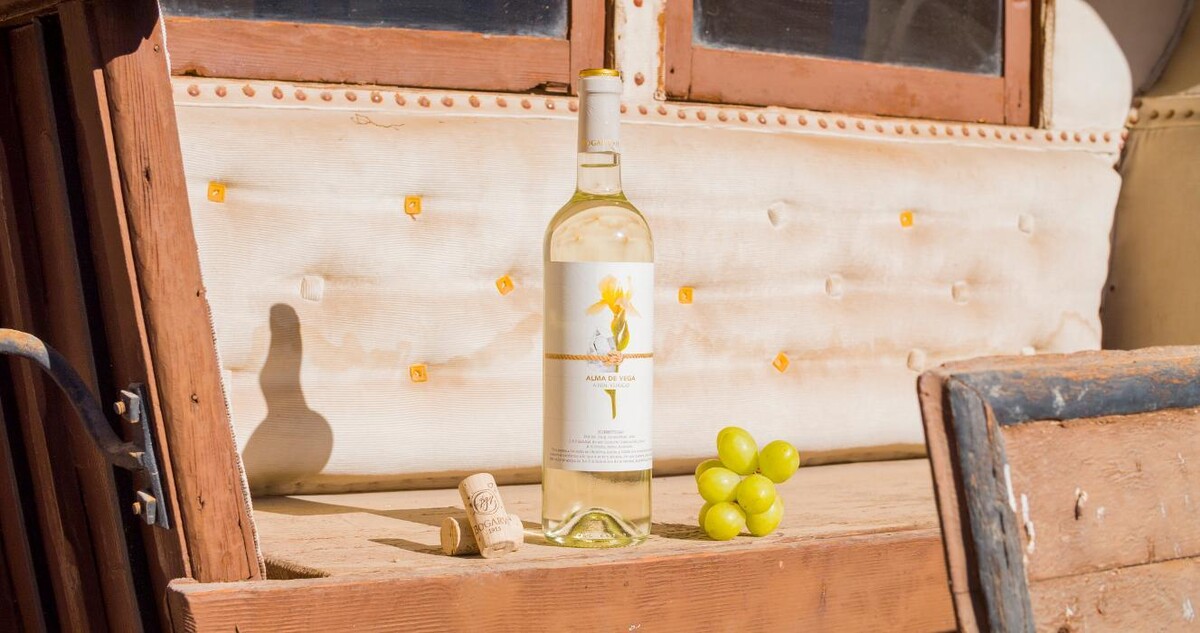 Images Bodega Bogarve 1915