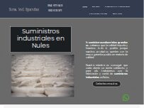Website Screenshot Suministros Industriales Spandex S.L.