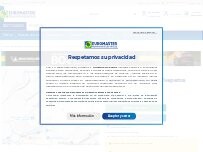 Website Screenshot Euromaster Talleres Txepetxa