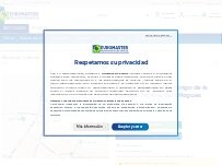 Website Screenshot Euromaster Sto. Domingo de la Calzada Talleres Luis Nogues
