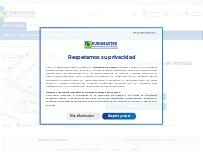Website Screenshot Euromaster Castellon en Ronda Sur