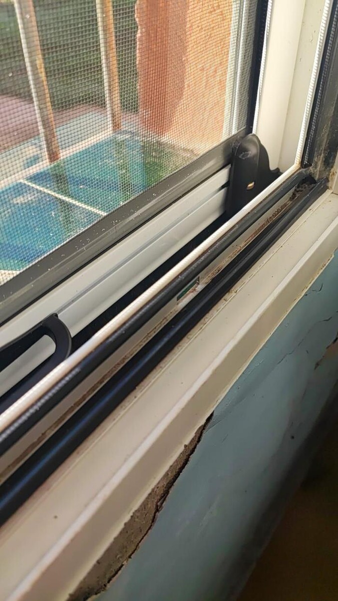 Images El Ángel de las persianas