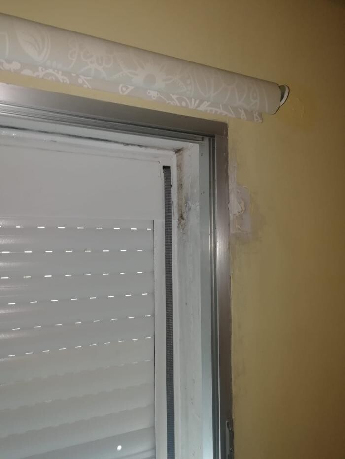 Images El Ángel de las persianas