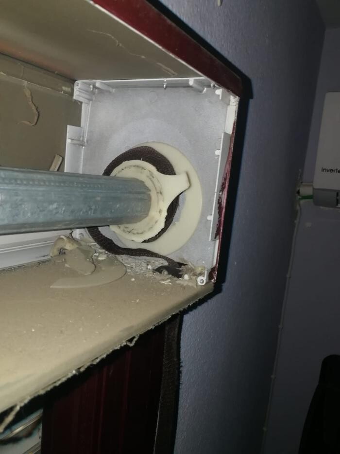 Images El Ángel de las persianas