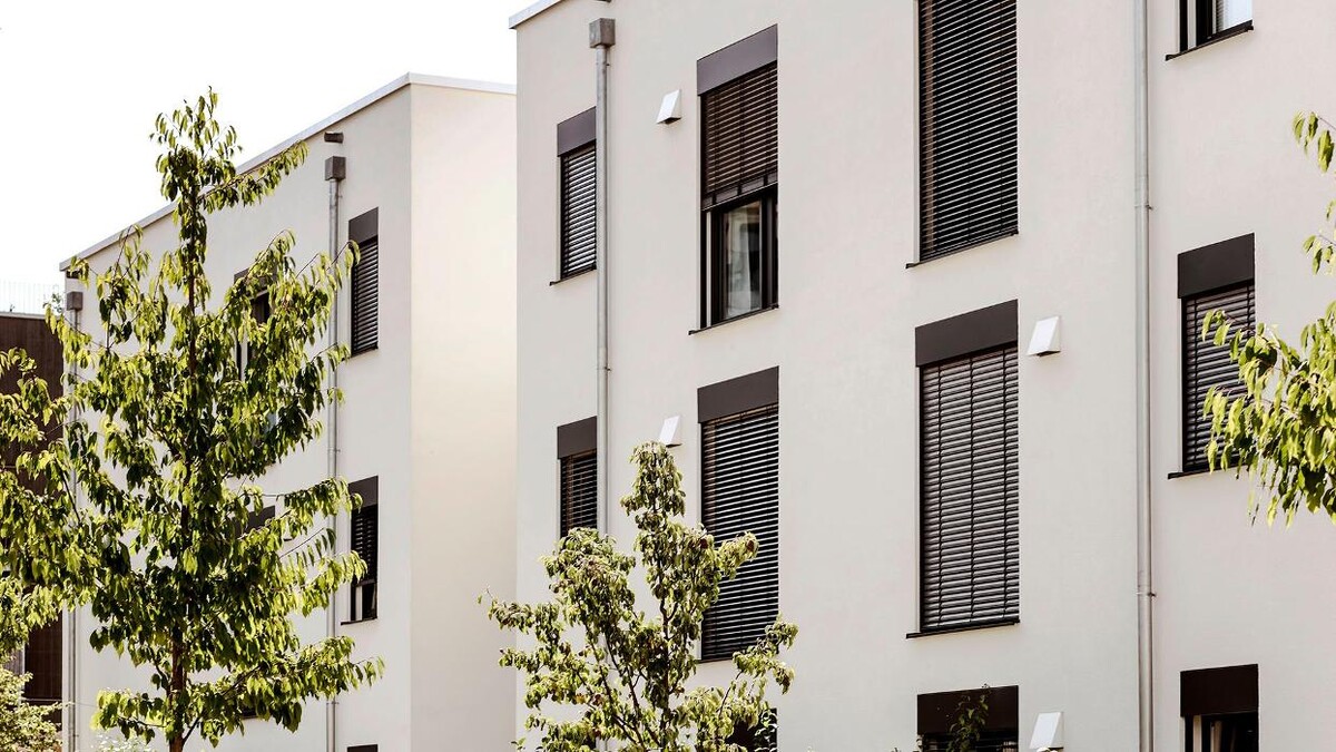 Images El Ángel de las persianas