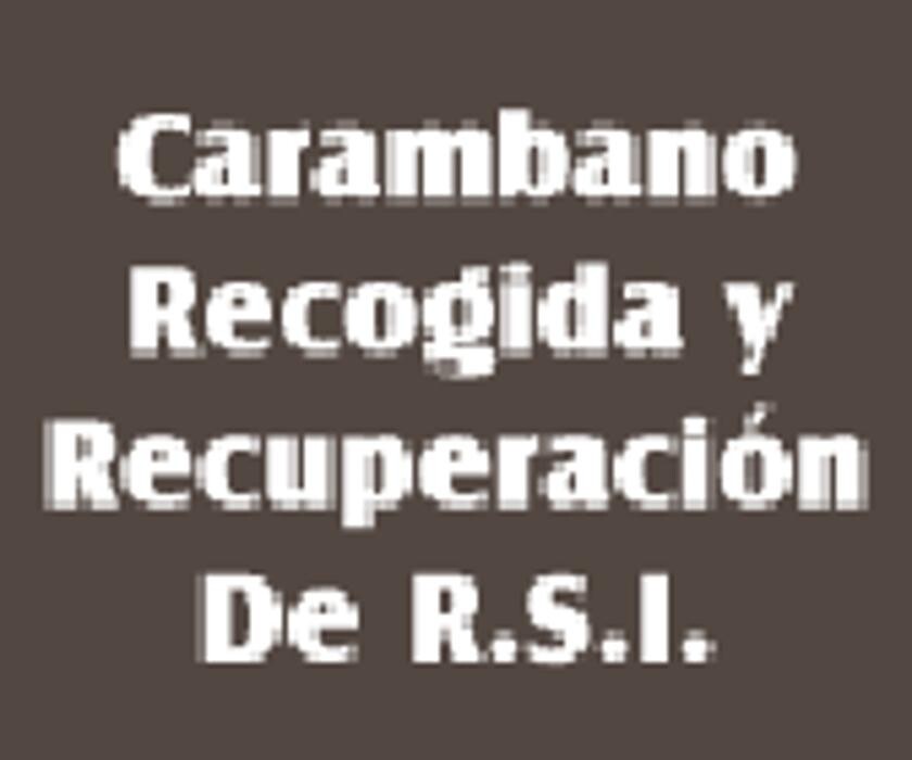 Carambano Recogida y Recuperación de R.S.I. Logo