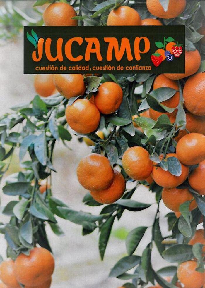 Images Jucamp Siglo XXI