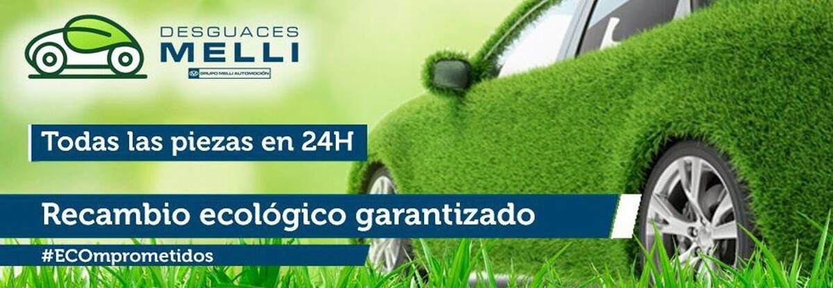 Images Desguaces Melli