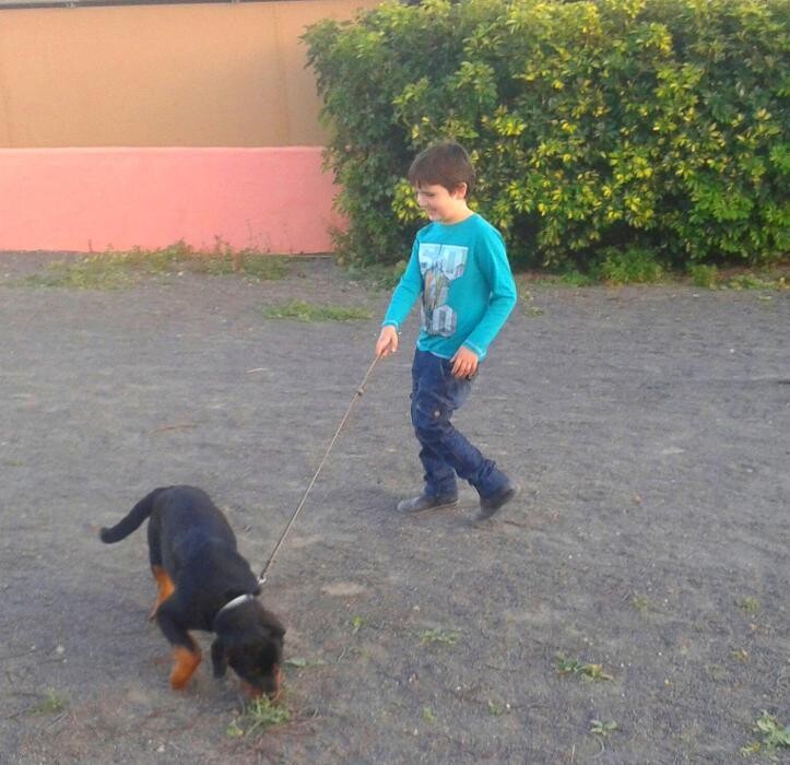 Images Residencia canina Tarazona