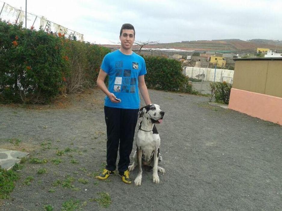 Images Residencia canina Tarazona