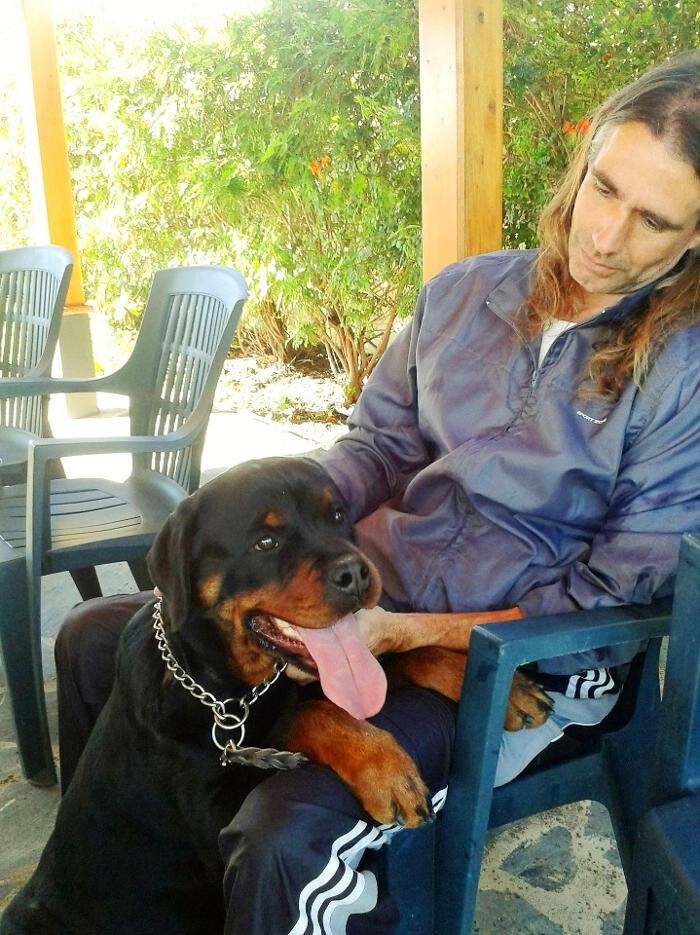 Images Residencia canina Tarazona