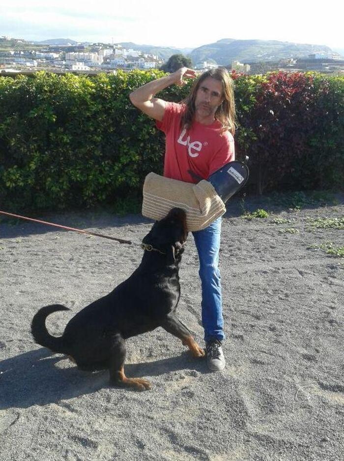 Images Residencia canina Tarazona