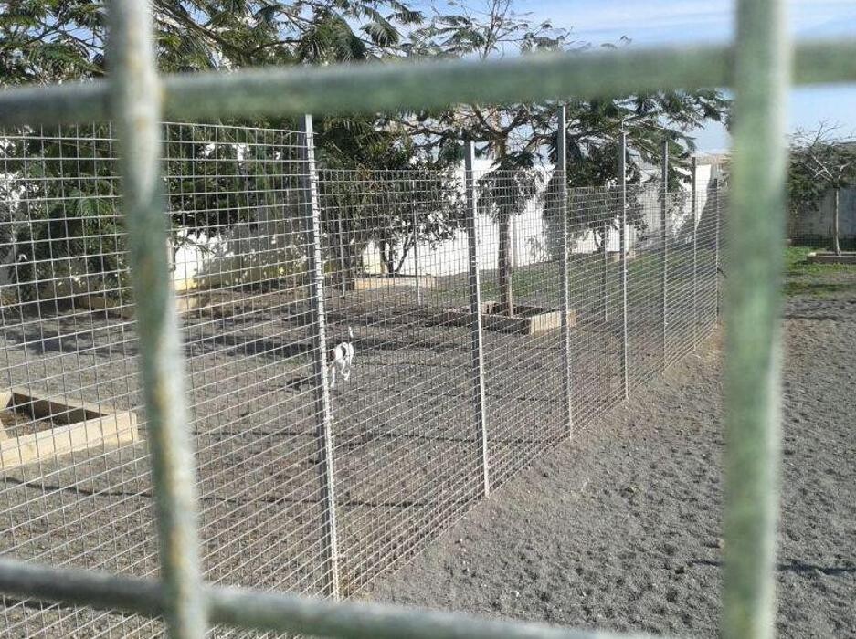 Images Residencia canina Tarazona