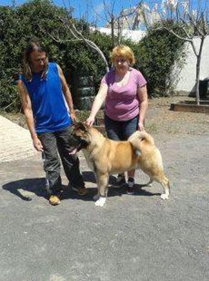Images Residencia canina Tarazona