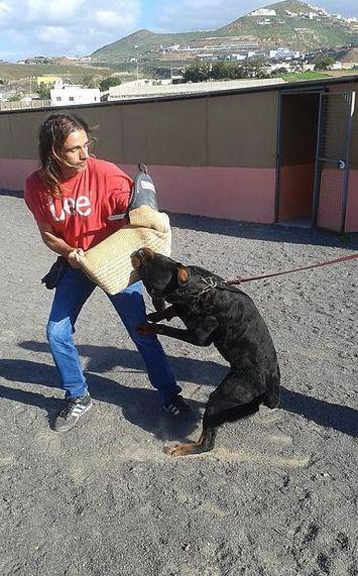 Images Residencia canina Tarazona