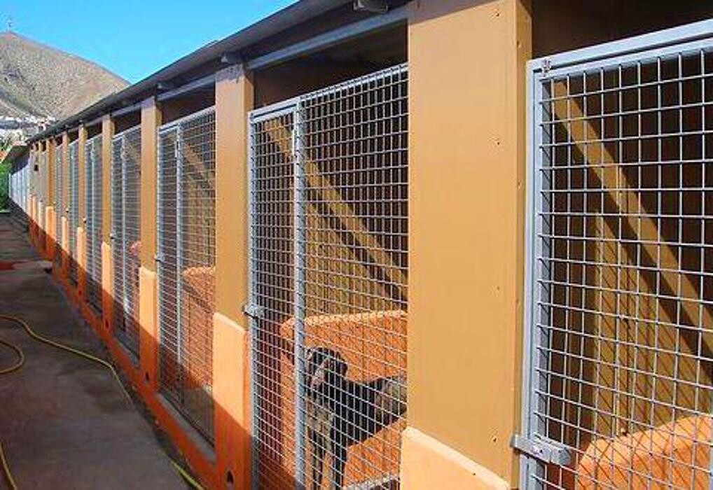 Images Residencia canina Tarazona