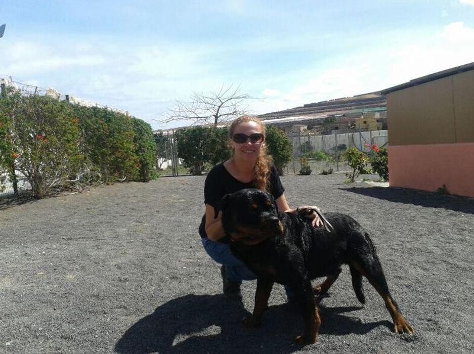 Images Residencia canina Tarazona