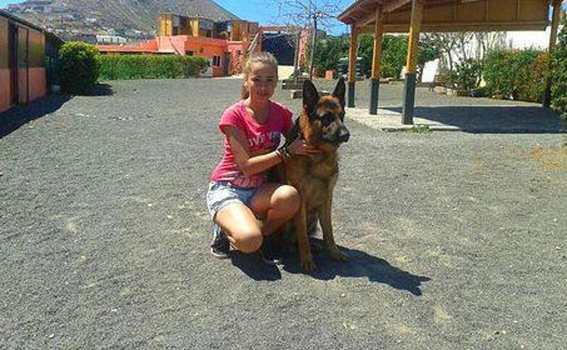 Images Residencia canina Tarazona