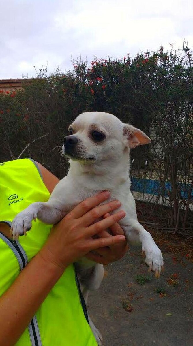 Images Residencia canina Tarazona
