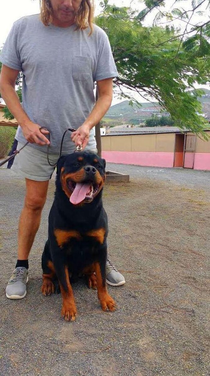 Images Residencia canina Tarazona