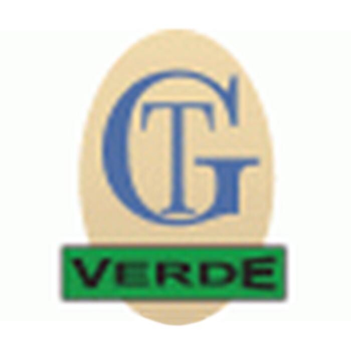 GT Verde Logo