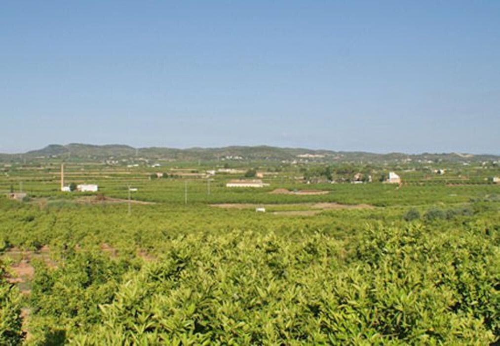 Images Llaurant La Llum