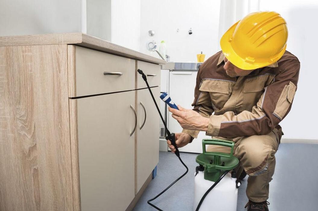 Images Limpiezas Julker