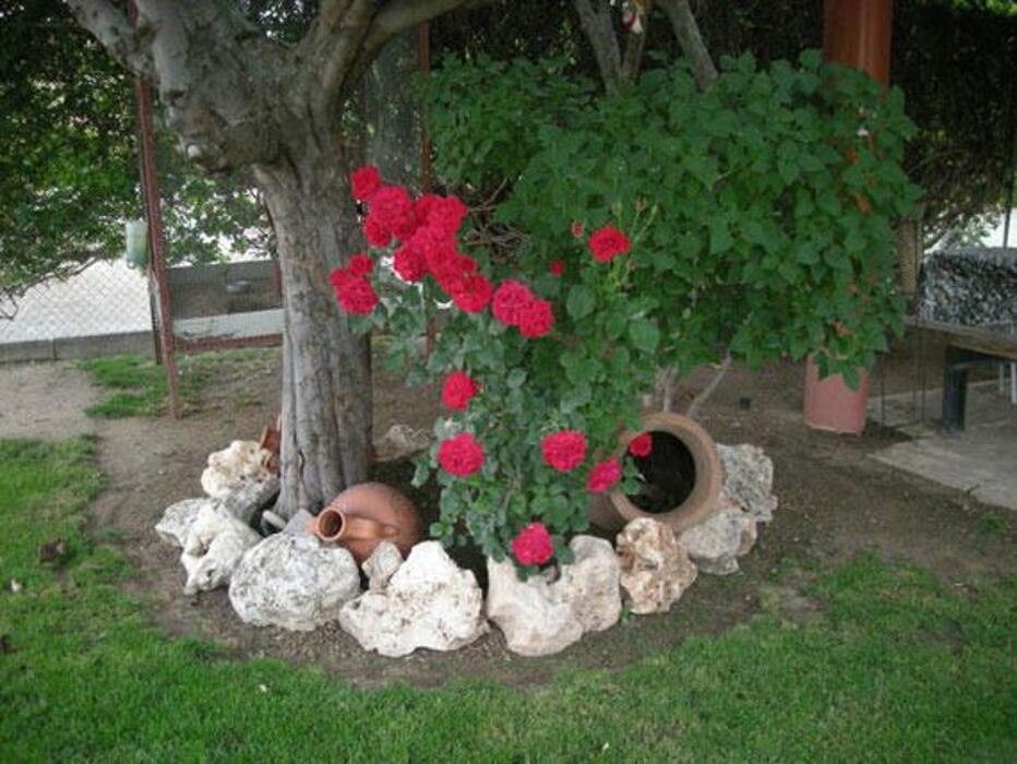 Images Mantillos y abonos Madrid