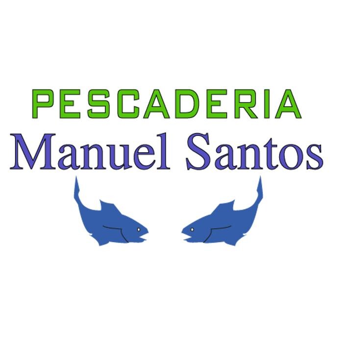COMERCIAL MANUEL SANTOS S.L. Logo
