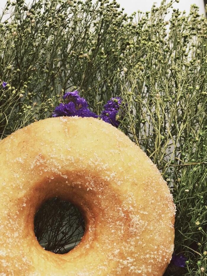 Images VegAmazing Doughnuts