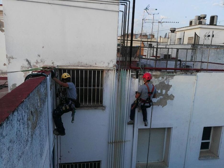Images Dali Trabajos Verticales
