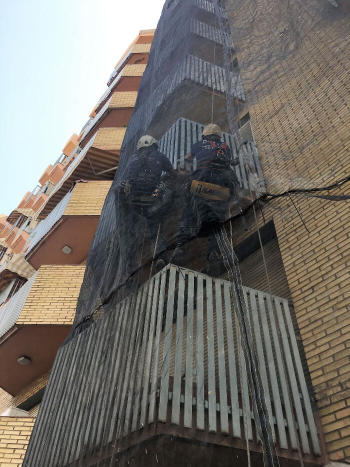 Images Dali Trabajos Verticales
