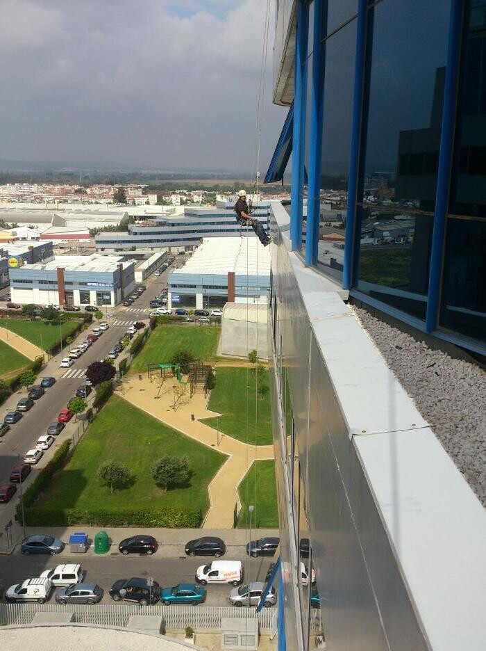 Images Dali Trabajos Verticales