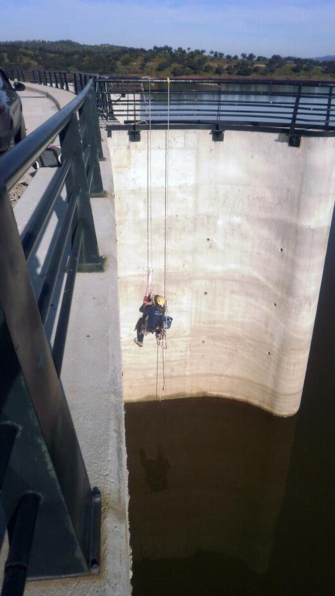 Images Dali Trabajos Verticales