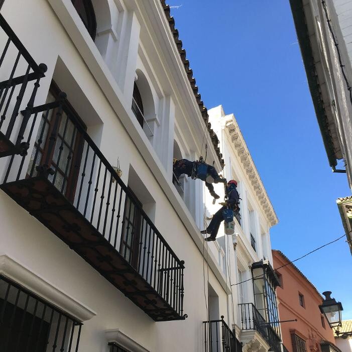 Images Dali Trabajos Verticales