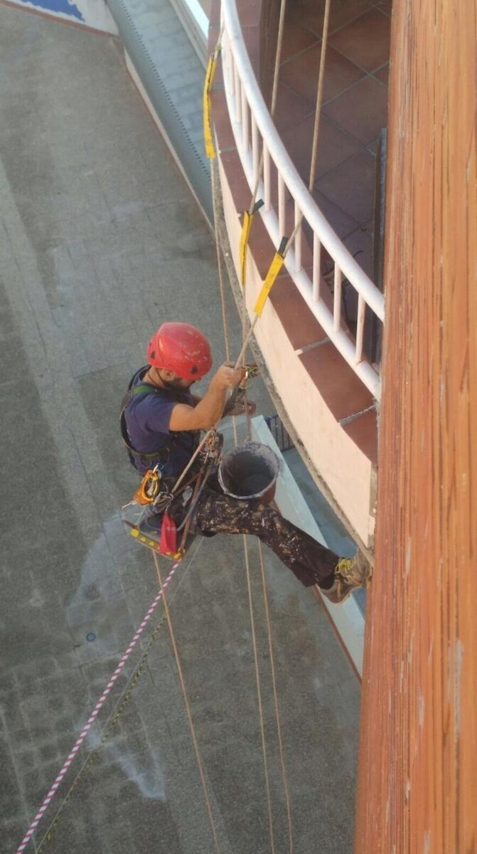 Images Dali Trabajos Verticales