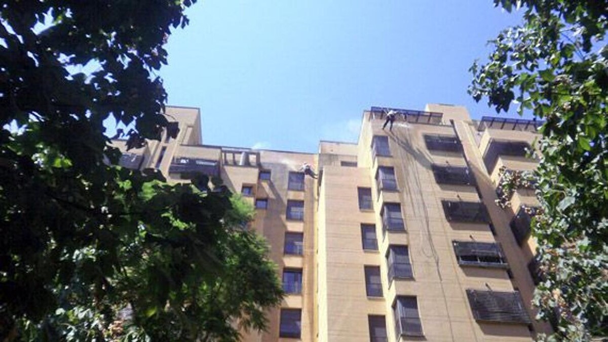 Images Dali Trabajos Verticales