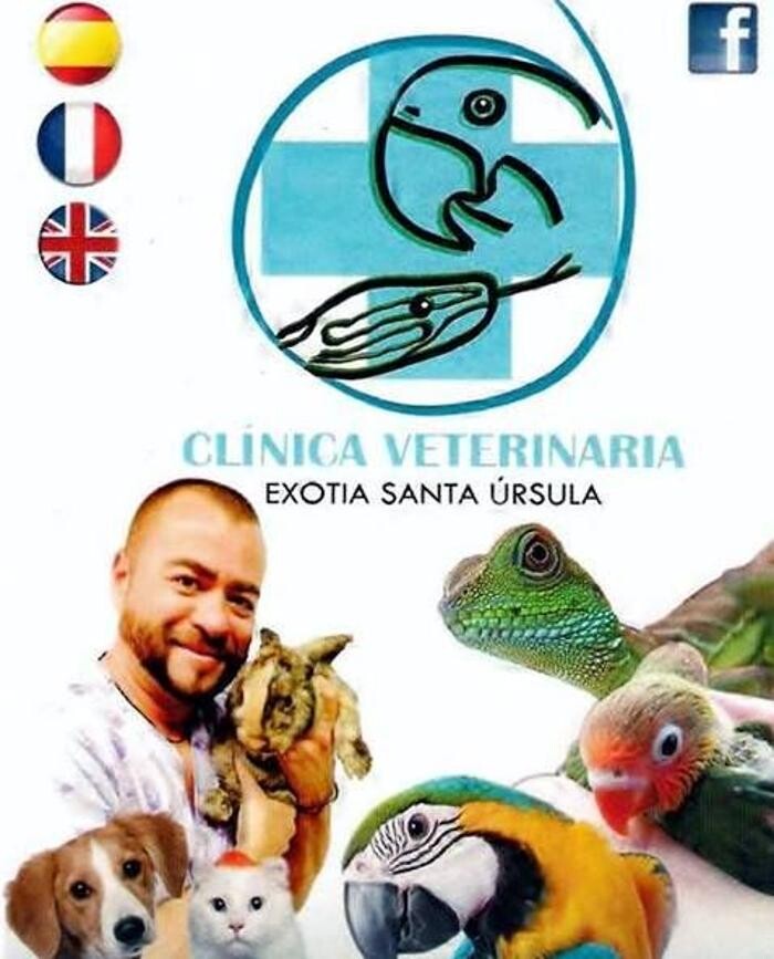 Images Clinica Veterinaria Exotia Santa Ursula
