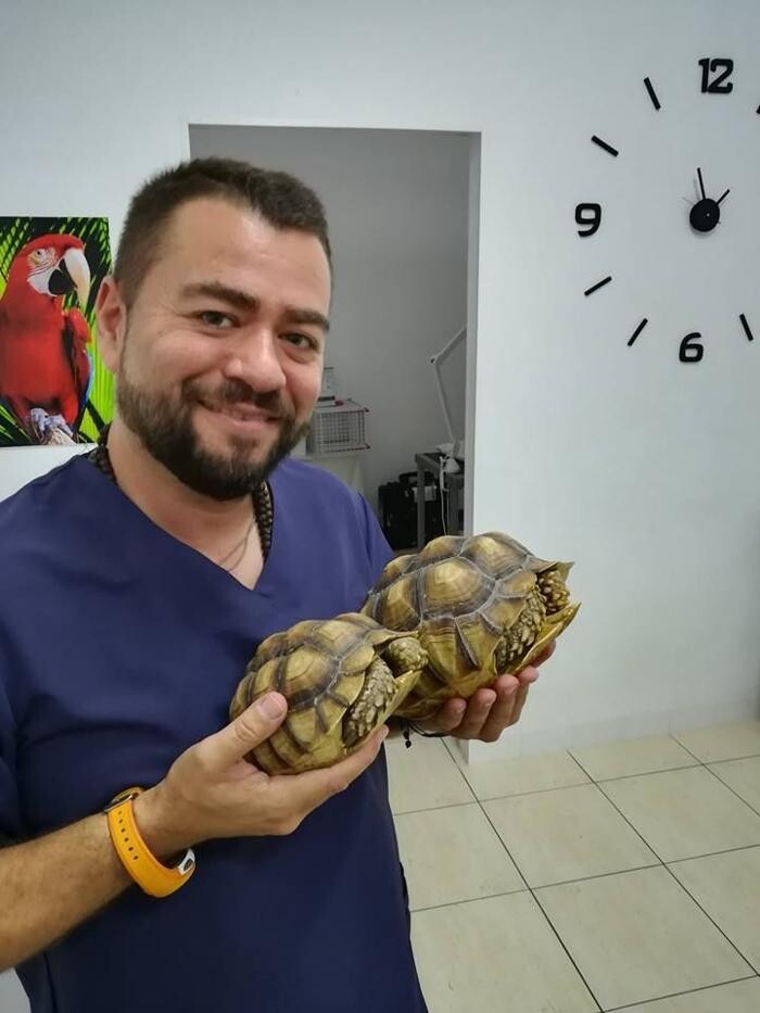 Images Clinica Veterinaria Exotia Santa Ursula