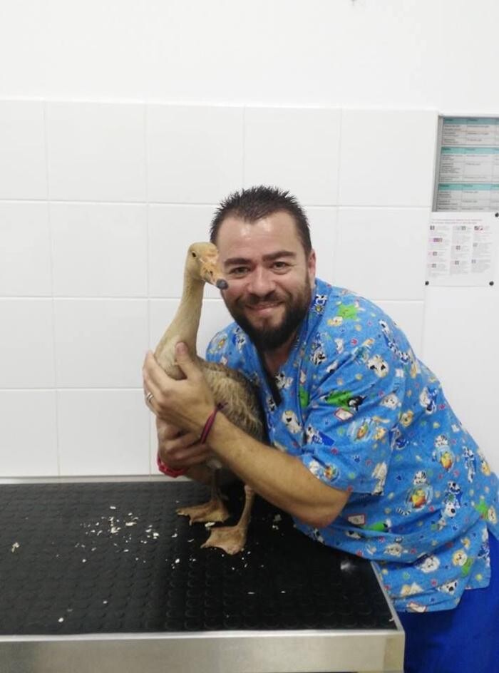 Images Clinica Veterinaria Exotia Santa Ursula