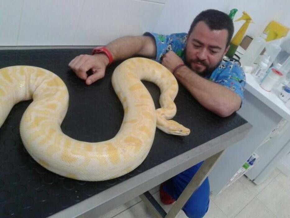 Images Clinica Veterinaria Exotia Santa Ursula