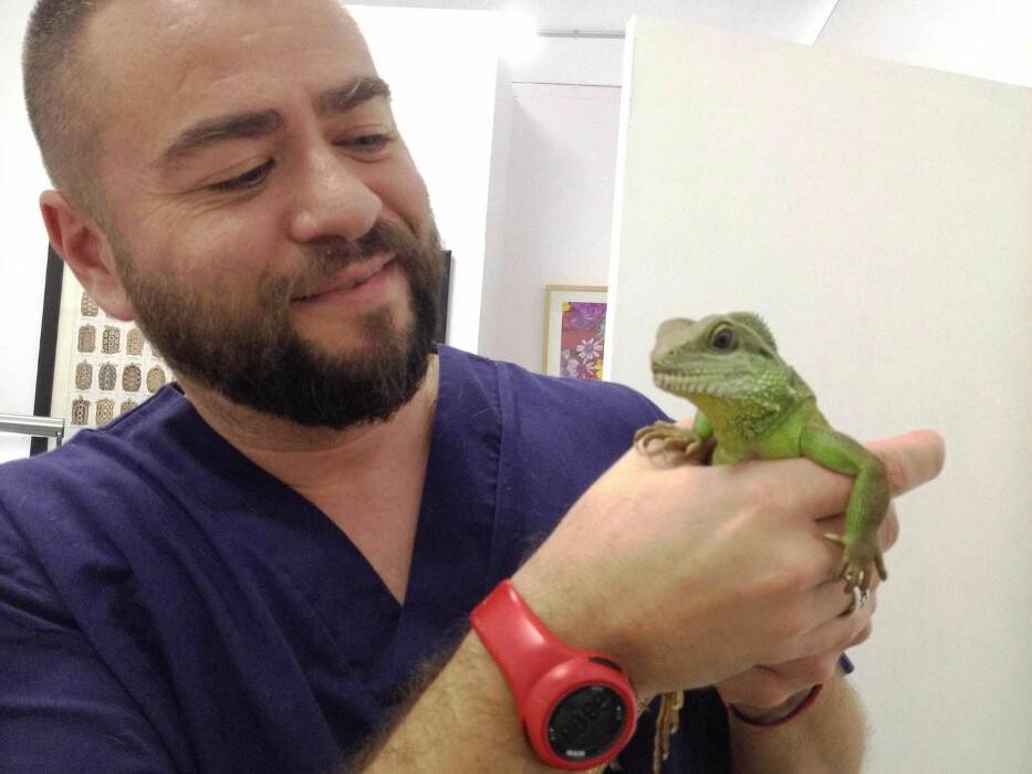 Images Clinica Veterinaria Exotia Santa Ursula