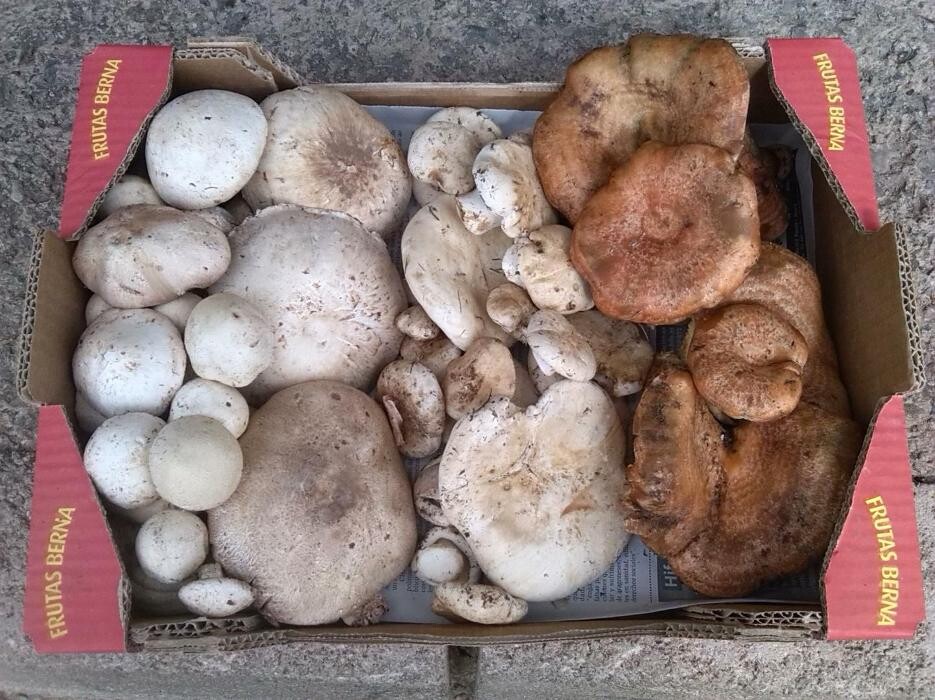 Images Casa Josefina